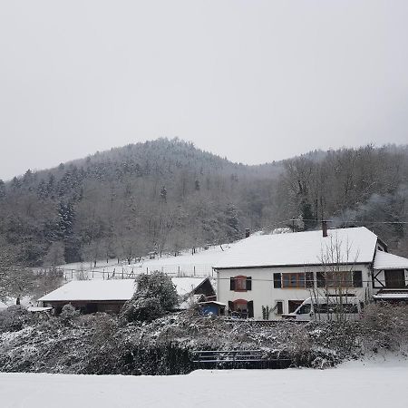 Gite Le Creux Chene Rombach-le-Franc Eksteriør bilde