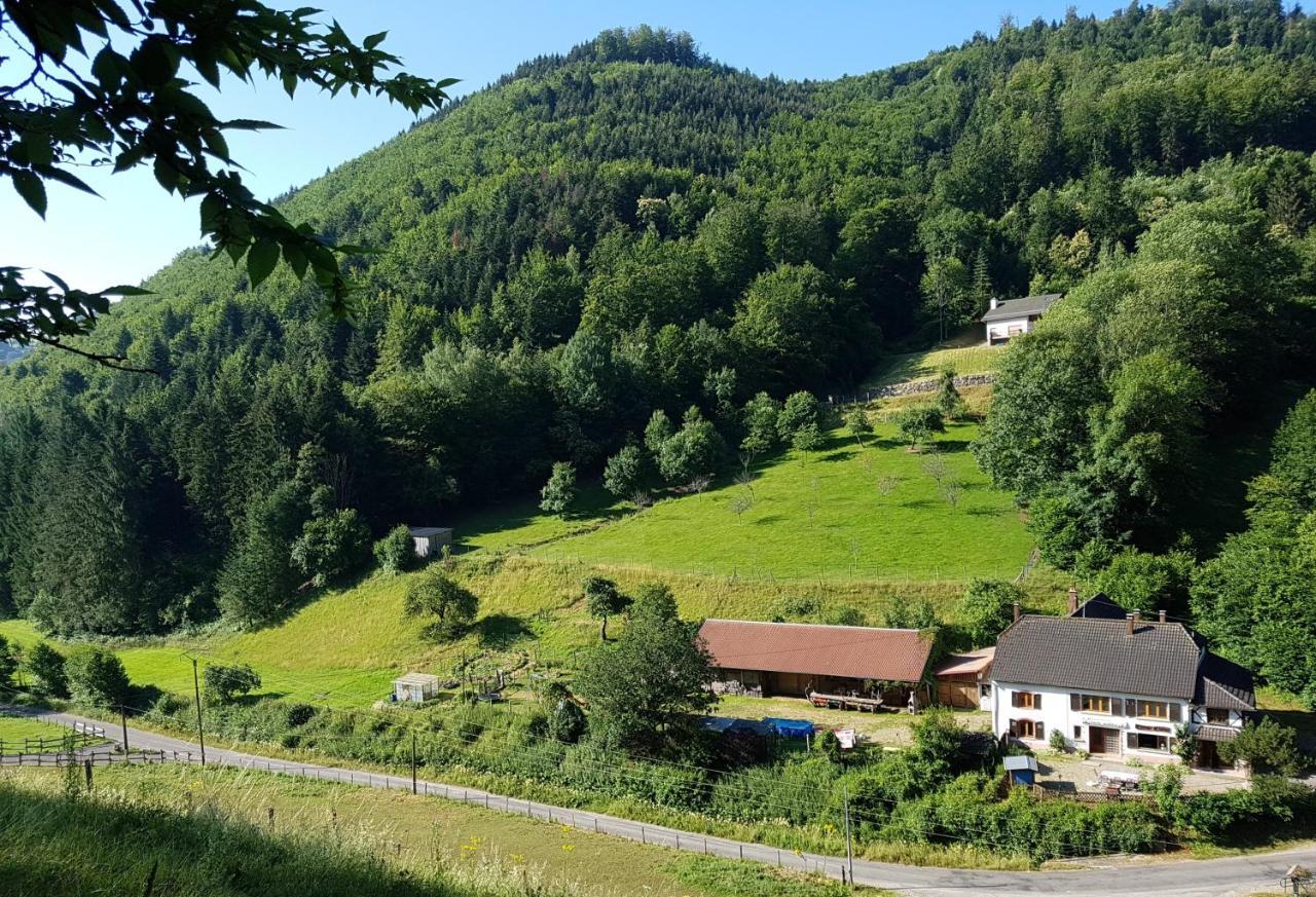 Gite Le Creux Chene Rombach-le-Franc Eksteriør bilde